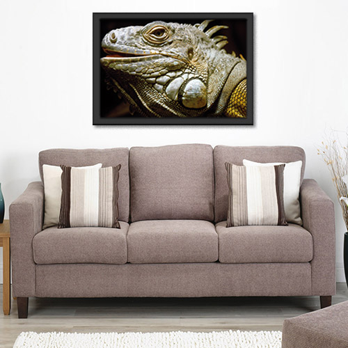 Quadros com Fotos - Iguana